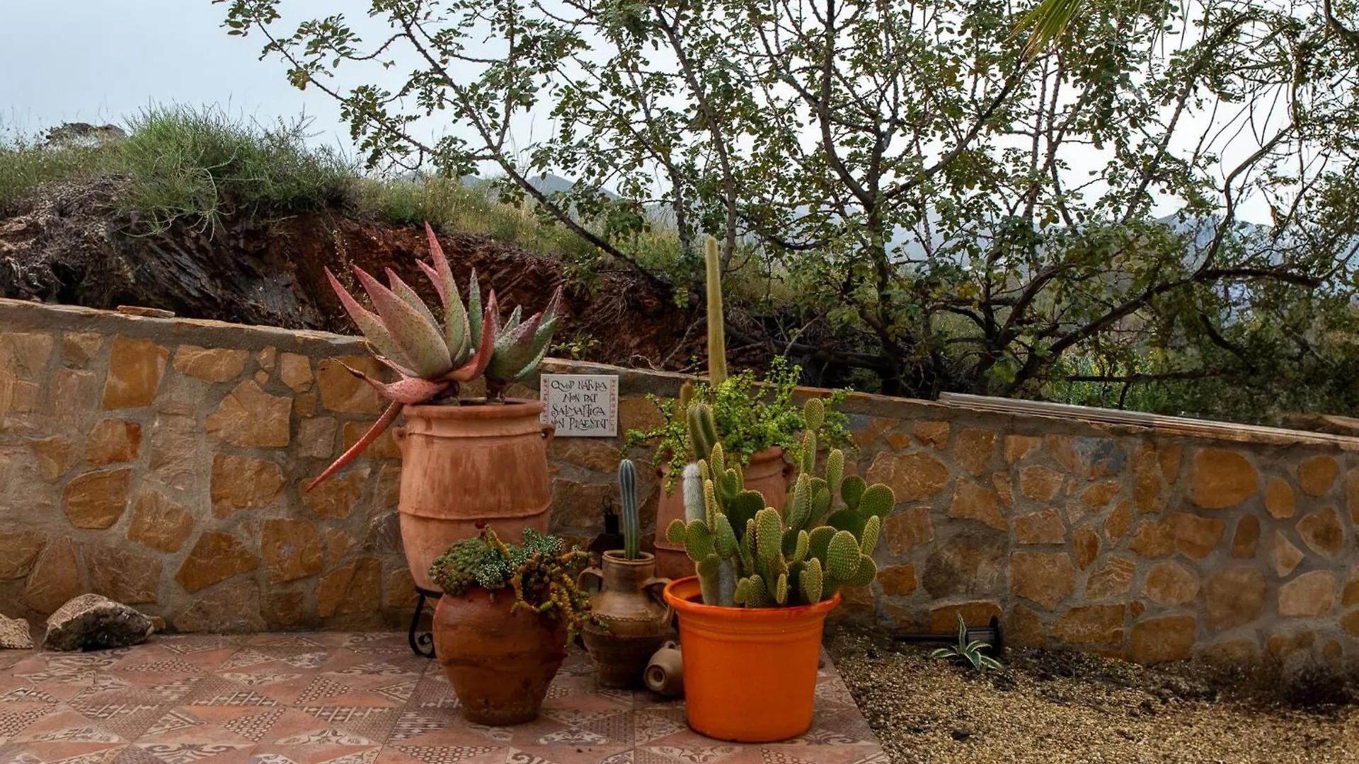 Holiday home Ct 385 Al - Faro'S Soulrise Villa - Mojacar - Pool & Artistic Flair Close To The Beach Almeria Spain